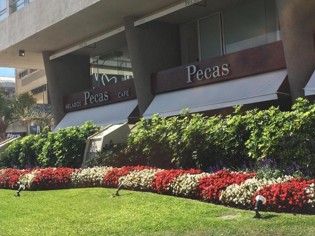 Depto Daria Punta Del Este Punta del Este Exterior foto